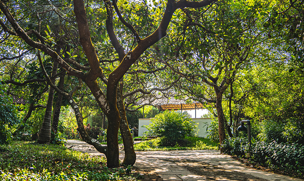 Aashyana Gardens