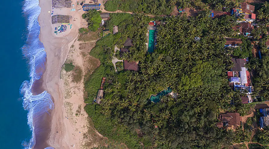Aerial view of Candolim Beach with palm-lined shoreline and greenery surrounding Aashyana Lakhanpal, set close to the sea.