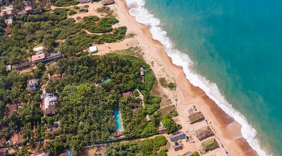 Wide aerial view of the sandy shoreline at Candolim Beach showing beachside greenery and resort surroundings in North Goa!