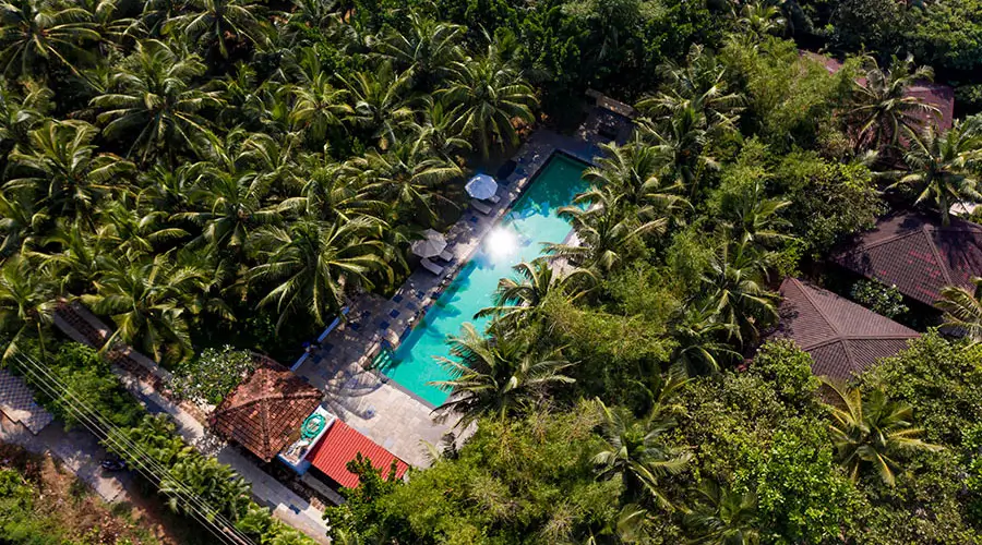 Aerial view of a palm-fringed swimming pool catching sunlight at a serene beachside resort near Candolim Beach North Goa!