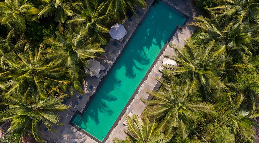 Aerial view of a long swimming pool surrounded by palm trees at a quiet beachside resort near Candolim Beach North Goa!